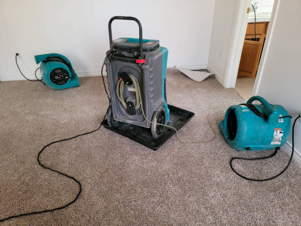  Evadale, TX Water damage restoration Pros