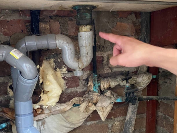 Best Professional water damage repair  in Evadale, TX