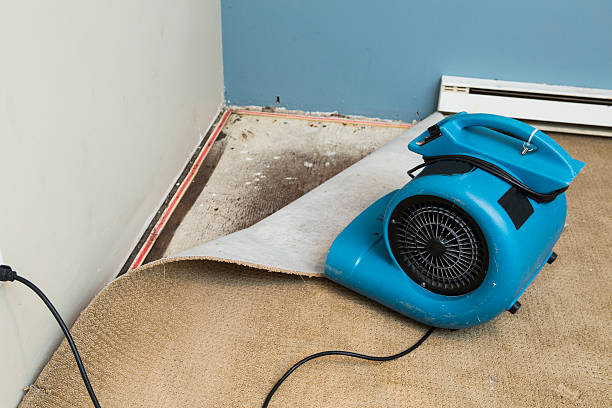 Best Commercial water damage restoration  in Evadale, TX